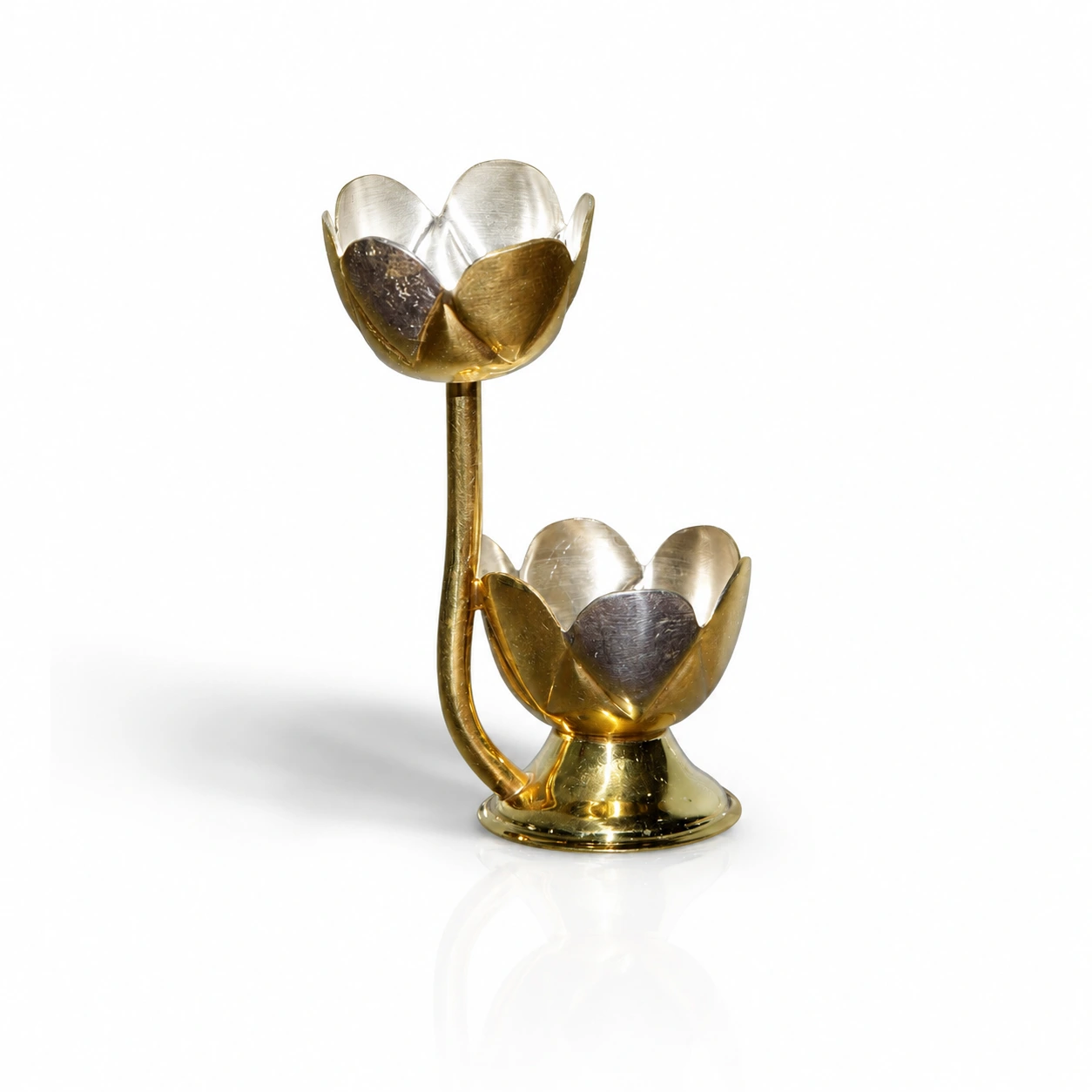 TULIP CUP